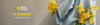 split-banner