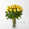 12 Long Stem Yellow Rose Bouquet Online