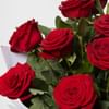 Gift 12 Red Roses