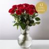 12 red roses Online