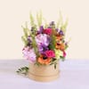 A box of softness Online