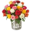 Allure - Colorful Roses Online