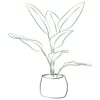 Arrangement of Plants Online