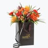 Autumn Bright Medium 240405 Online