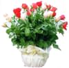 Basket of Roses Online