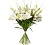 Bouquet Dashing Lilies Online
