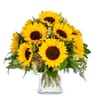 Bouquet Sunflowers Pure