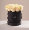 Box of Cream Roses Online