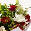 Buy Christmas Bouquet (premium)