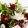 Shop Christmas Bouquet (premium)