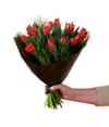 Christmas Tulips Red 240515 Online