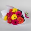 Colourful Gerberas Online