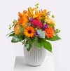Colourful Summer Online