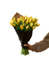 Easter Tulips 240131 Online
