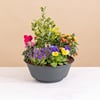 Eclat de tendresse Online