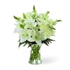 Eternal Friendship Bouquet Online