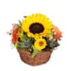 Fleurop Flower arrangement 'Sunny Kiss' Online