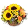 Fleurop Flower arrangement 'Sunny Kiss' Online