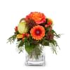Fleurop Flower bouquet Christmas Wonder Online