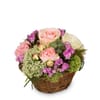 Flower arrangement 'A Basket full of Poetry with Roses' Online