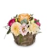 Flower arrangement Gentle Spring Melody Online