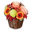 Flower arrangement Happy Surprise Online