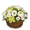 Flower arrangement Spring Dream Online