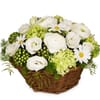 Flower arrangement Spring Dream Online