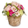 Flower arrangement Sweet Spring Melody Online