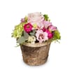Flower arrangement Sweet Spring Melody Online