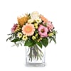 Flower bouquet 'Cheerful Winter Greeting' Online