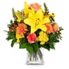 Flower bouquet 'Summer Star' Online