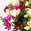 Gift Freesia Bouquet