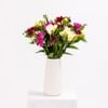 Buy Freesia Bouquet