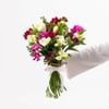 Freesia Bouquet Online