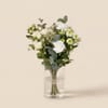Gentleness Online
