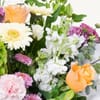 Buy Gorgeous Bouquet