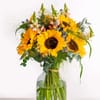 Happy Summer Greetings Online