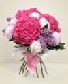 Hydrangea and Peonia Online