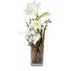 Indoor plant 'For my Angel' amaryllis Online