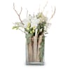 Indoor plant 'Lifestyle' orchid in vase