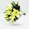 Lily Bunch Online