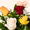 Buy Lucky Dip Roses - 5