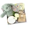 Natural Nourish Baby Box Online