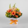 Orange Zest Posy Online