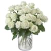 Pearl - White Roses Online