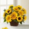 Perfect Sun Bouquet Online