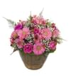 Pink Basket Online