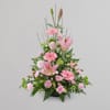 Pink Sympathy