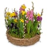 Planted Basket Colorful spring wreath